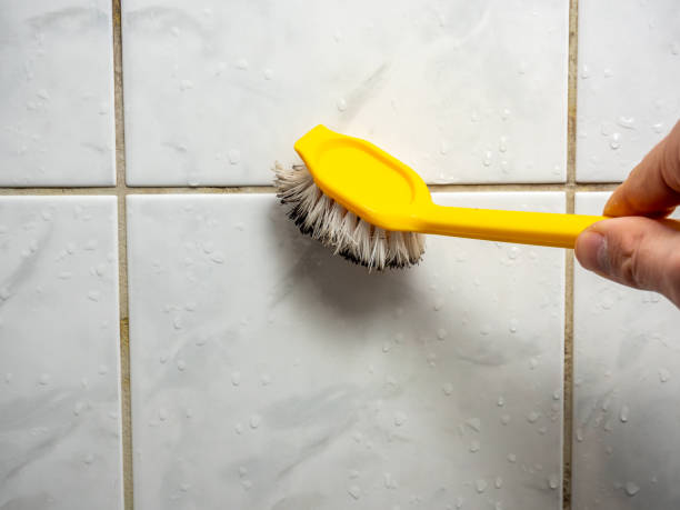 Best Emergency Mold Removal  in East Petersburg, PA