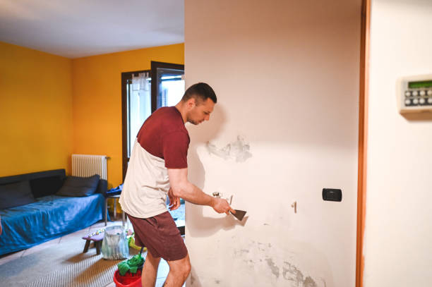 Reliable East Petersburg, PA Mold Removal Solutions