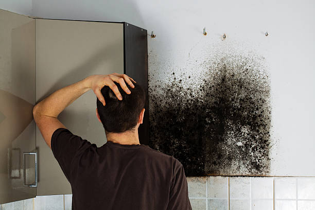 Best Residential Mold Removal  in East Petersburg, PA